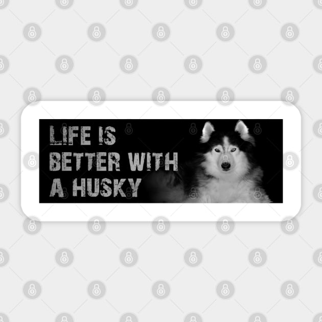 Siberian Husky Sticker by Bernesemountaindogstuff